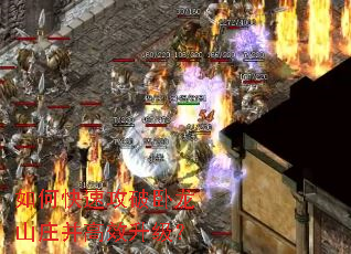 ��ο��ٹ�������ɽׯ����Ч������