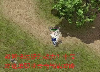 ��ο�������ս����ʮ�����ٵ�ְҵ�����ưԹ���