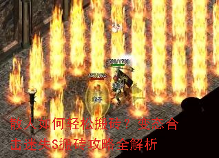 ɢ��������ɰ�ש����̬�ϻ���ʧS��ש����ȫ����