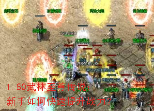 1.80��������˵��������ο�������ս����